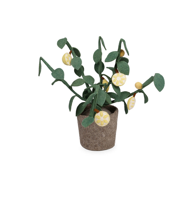 Kidsdepot vilten plant Citrus