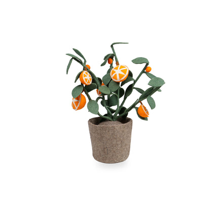Kidsdepot vilten plant Oranje - Sinaasappelplant