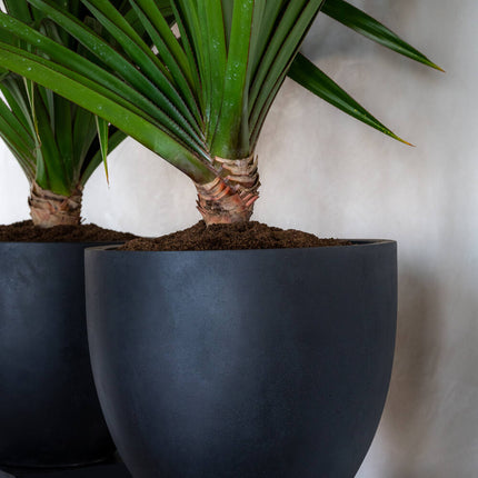 Pottery Pots Jesslyn XS, zwart Ø36 cm