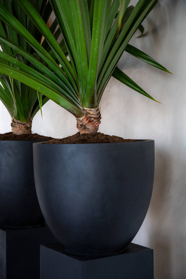 Pottery Pots Jesslyn XS, zwart Ø36 cm