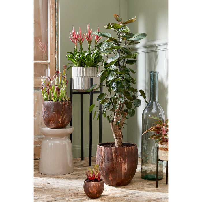 Plantenstandaard XL - L38 x B38 x H71 cm - Metaal - Zwart