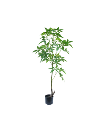 Schefflera artificial tree 120 cm