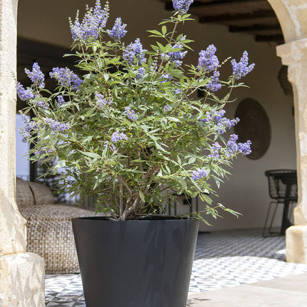 Pottery Pots Bucket XS, Zwart Ø34 cm