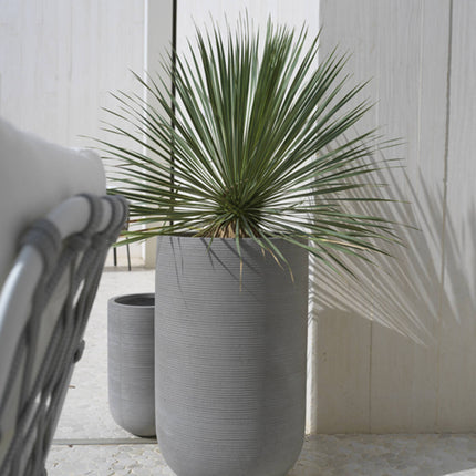 Pottery Pots Cody high M, Dark Grey Ø30 cm (horizontaal geribbeld)