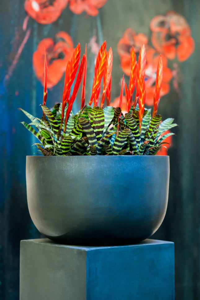 Pottery Pots Sunny L, zwart Ø35 cm