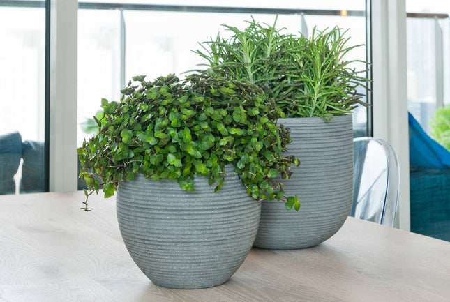 Pottery Pots Cody M, Dark Grey Ø30 cm (horizontaal geribbeld)