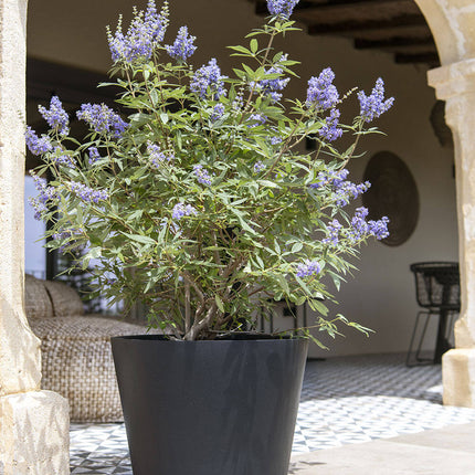 Pottery Pots Bucket M, zwart Ø50 cm