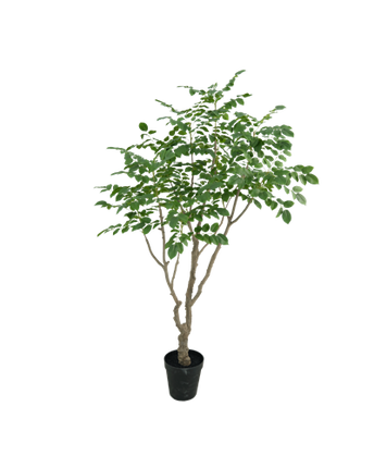 Sandalwood artificial tree 240 cm