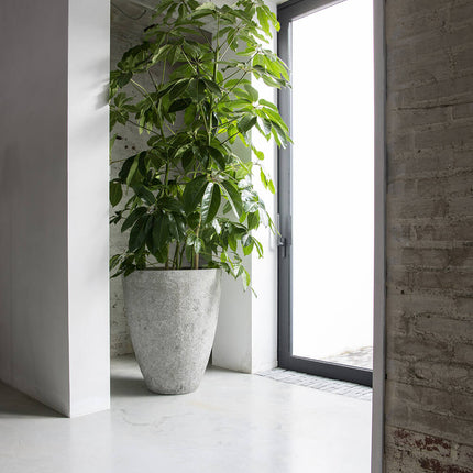 Pottery Pots Bernd L, Imperial White Ø50 cm