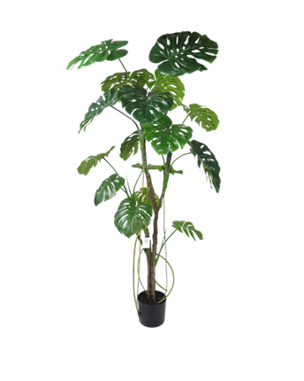 Monstera artificial tree 180 cm