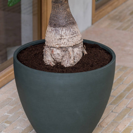 Pottery Pots Jesslyn M, Pine Green Ø57 cm