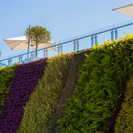 Groene Wand - Vrijstaand systeem 215x40x292 cm - Planten wand