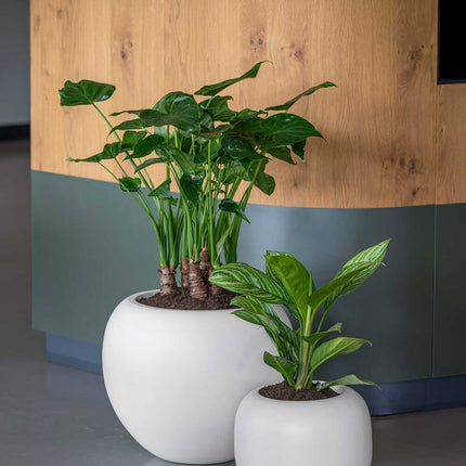 Pottery Pots Sphere Low XS, Silk White Ø22 cm