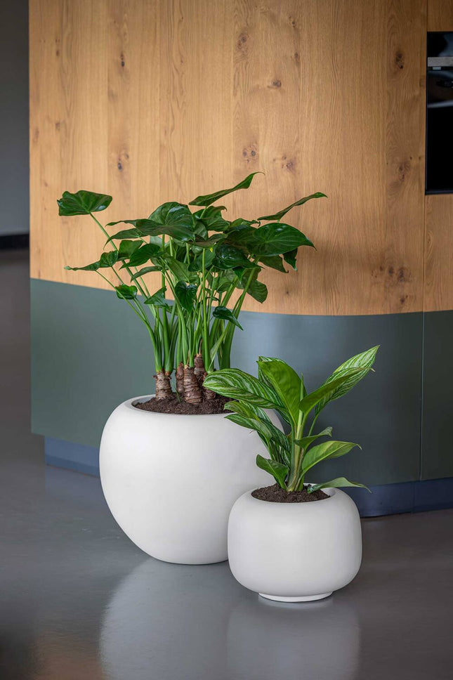 Pottery Pots Sphere Low XS, Silk White Ø22 cm