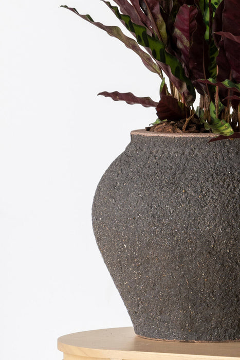 Pottery Pots Zeus L, Umber Brown Ø40 cm