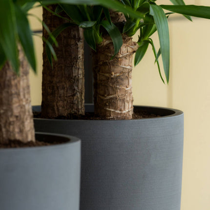 Pottery Pots Dax L, Volcano Black Ø34 cm