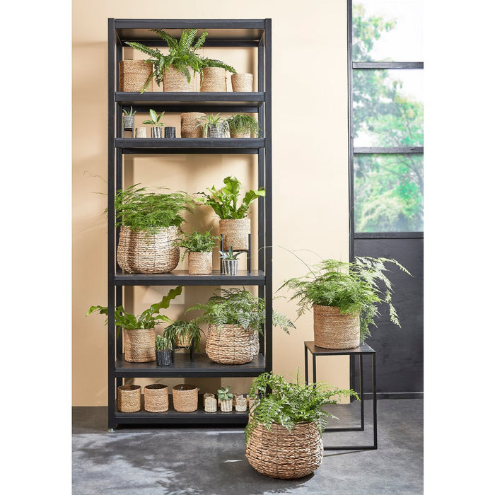 Plantenstandaard XL - L38 x B38 x H40cm - Metaal - Zwart