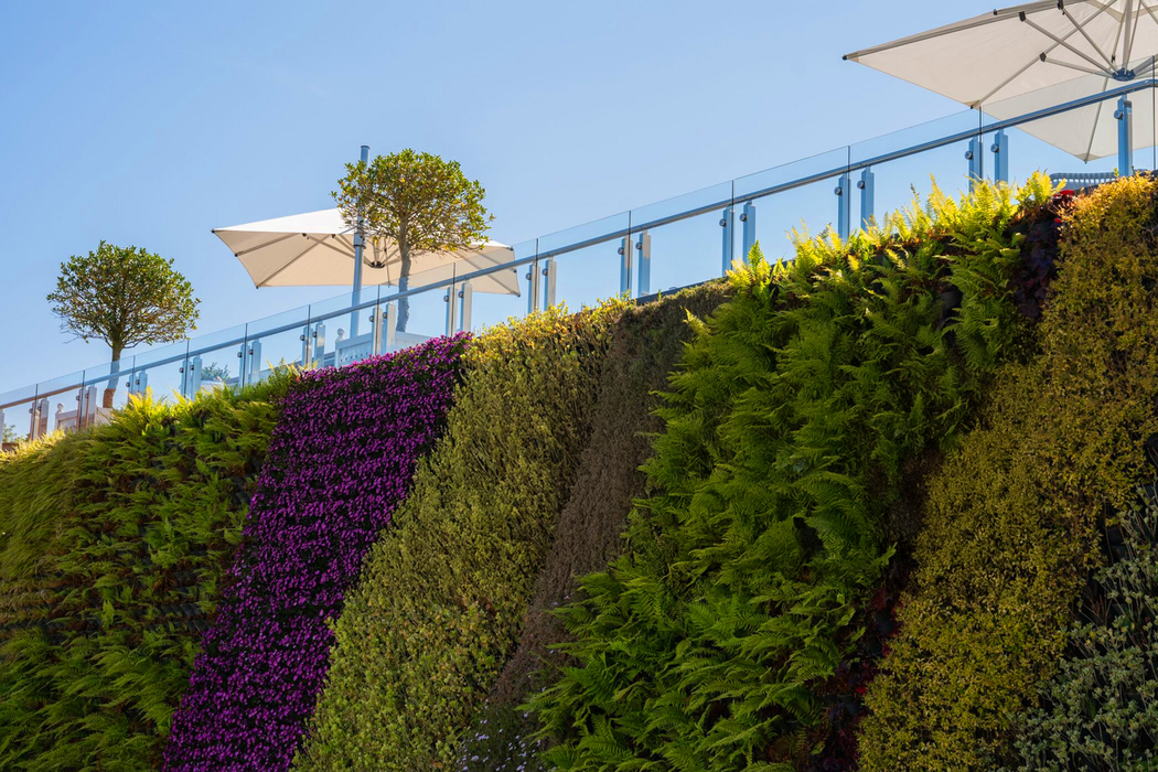 Groene Wand - Hangend muursysteem 215x300x20 cm - Planten wand