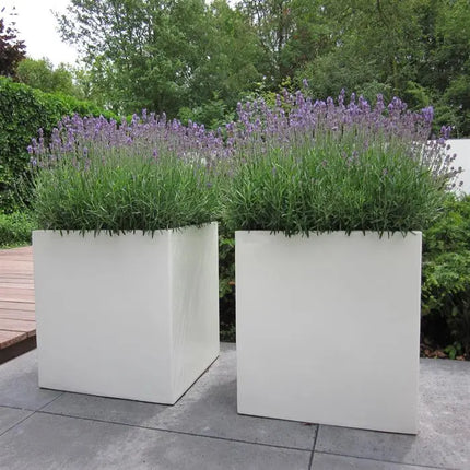 Polyester Plantenbak op Wielen 200 x 50 x 60 cm