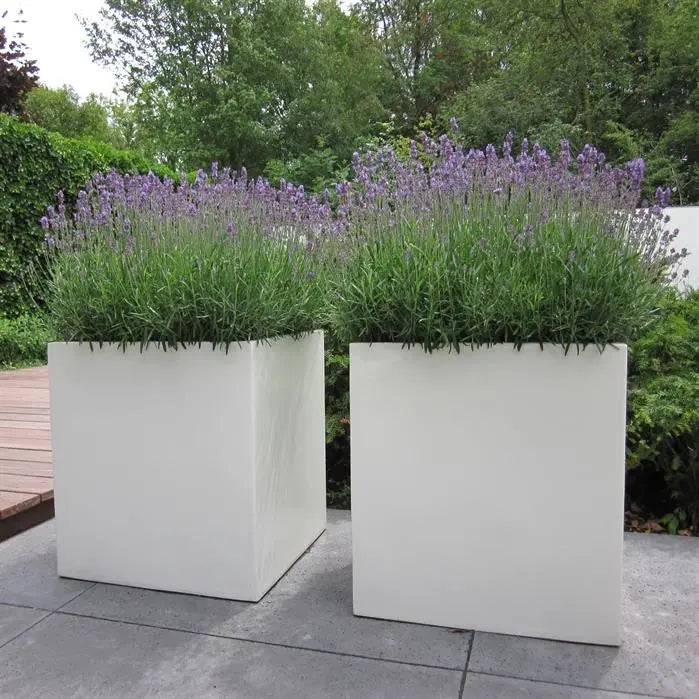 Polyester Plantenbak op Wielen 50 x 50 x 50 cm
