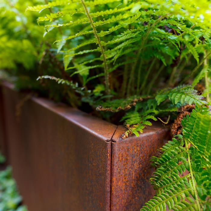 Corten Steel Planter 200 x 100 x 40 cm - Without Bottom