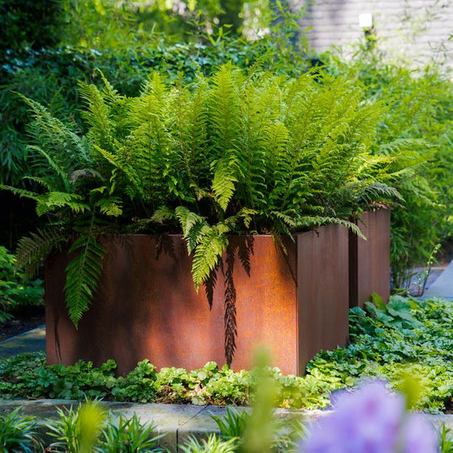 Cortenstaal Plantenbak 120x120x60 cm - Zonder Bodem