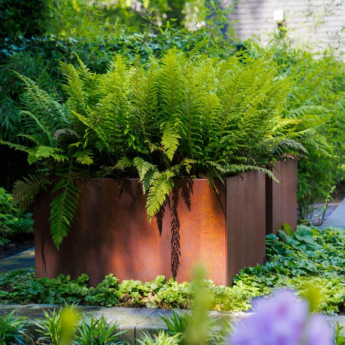 Corten Steel Planter 200 x 100 x 40 cm - Without Bottom