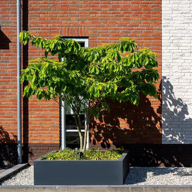 Polyester Plantenbak 100 x 50 x 50 cm