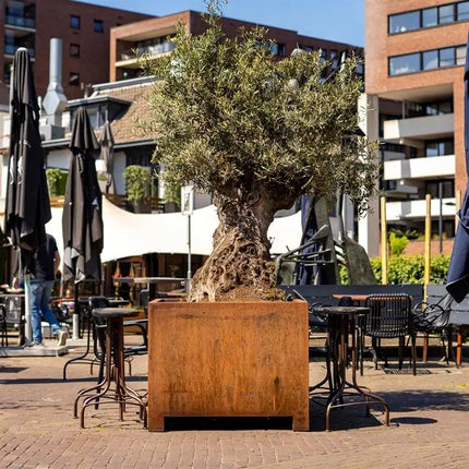 Jardinera de acero Corten con patas, 120 x 120 x 60 cm