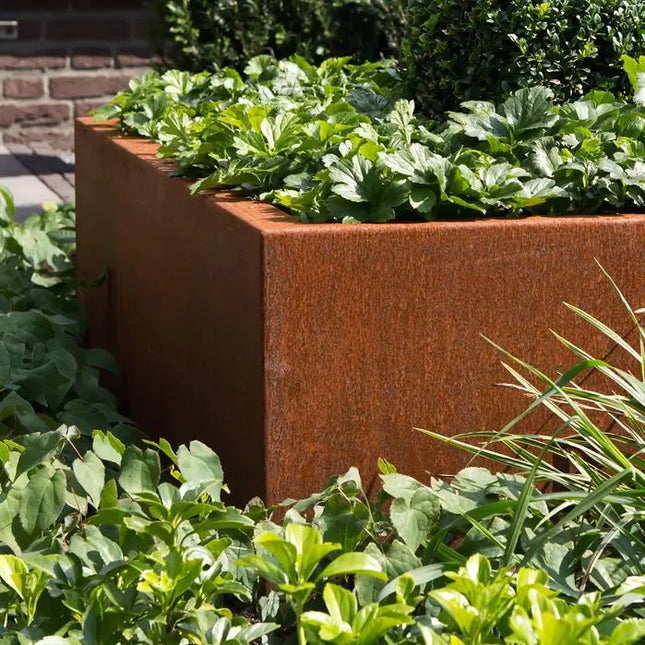 Jardinière en acier Corten 200 x 200 x 80 cm - Sans fond