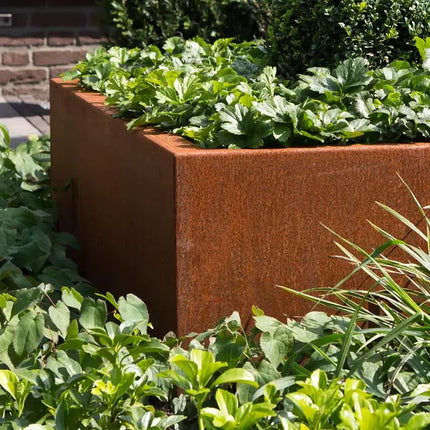 Cortenstaal Plantenbak 120 x 120 x 80 cm - Zonder bodem