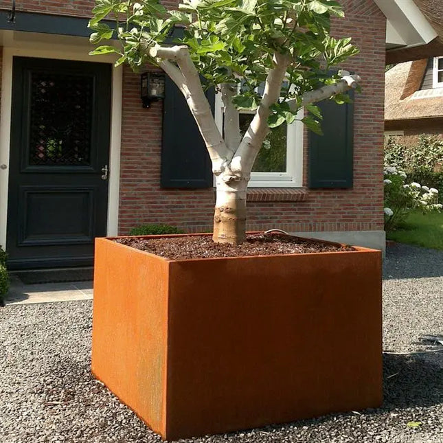 Cortenstaal Plantenbak 80 x 80 x 60 cm