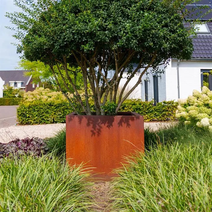 Cortenstaal Plantenbak 100 x 100 x 80 cm