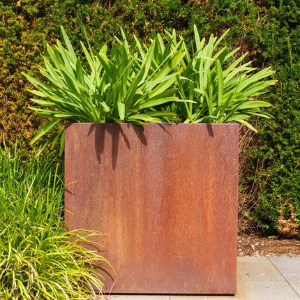 Jardinière en acier Corten 200 x 200 x 40 cm