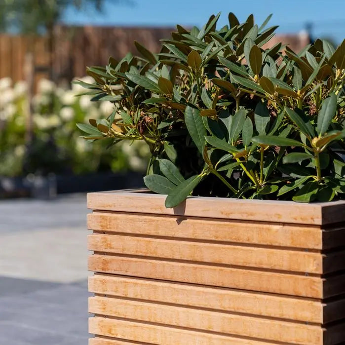 Plantenbak Hardhout 100 x 100 x 74.6 cm
