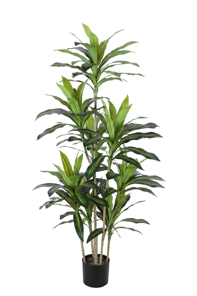 Kunstplant Agave - ↕170cm