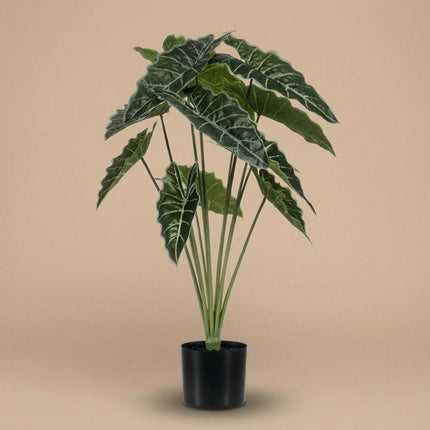 Konstväxt Alocasia - ↕80cm