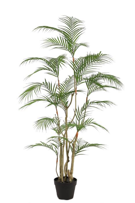 Kunstplant Areca Palm - ↕140cm