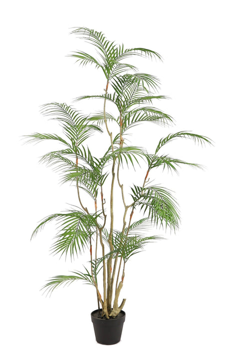 Kunstplant Areca Palm - ↕160cm