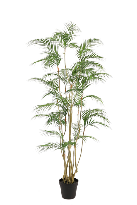 Kunstplant Areca Palm - ↕180cm