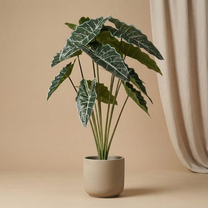 Konstväxt Alocasia - ↕80cm
