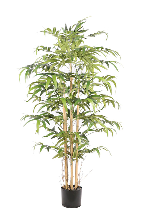 Kunstplant Bamboe (Japans) - ↕160cm