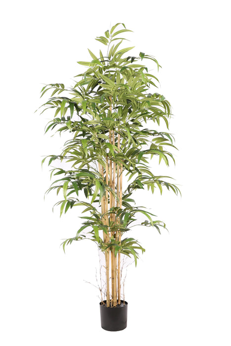Kunstplant Bamboe (Japans) - ↕180cm