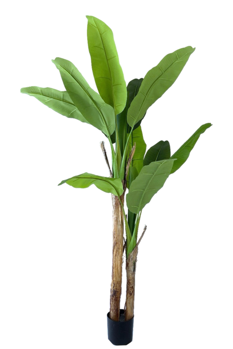 Kunstplant Bananenplant - ↕160cm