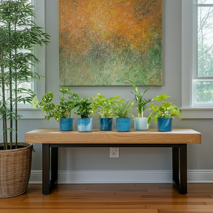 Verrassingsbox - 6 planten inclusief elho Ocean Round atlantisch blauw - Ø14cm