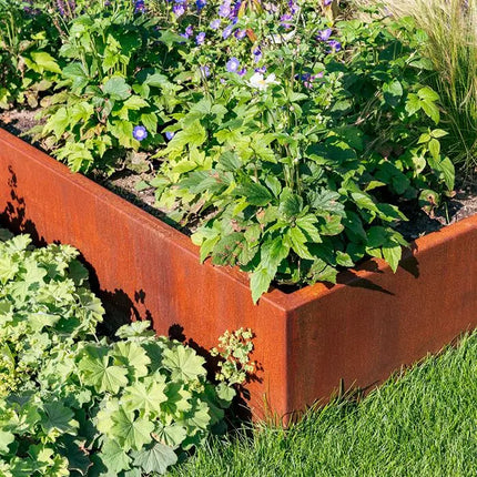 Cortenstaal Plantenbak 100 x 100 x 20 cm - Zonder bodem