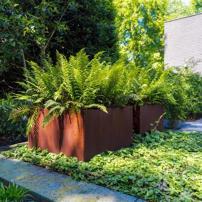 Cortenstaal Plantenbak 100 x 100 x 20 cm