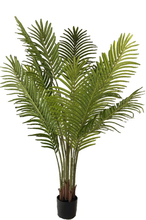 Kunstplant Palm Phoenix - ↕160cm