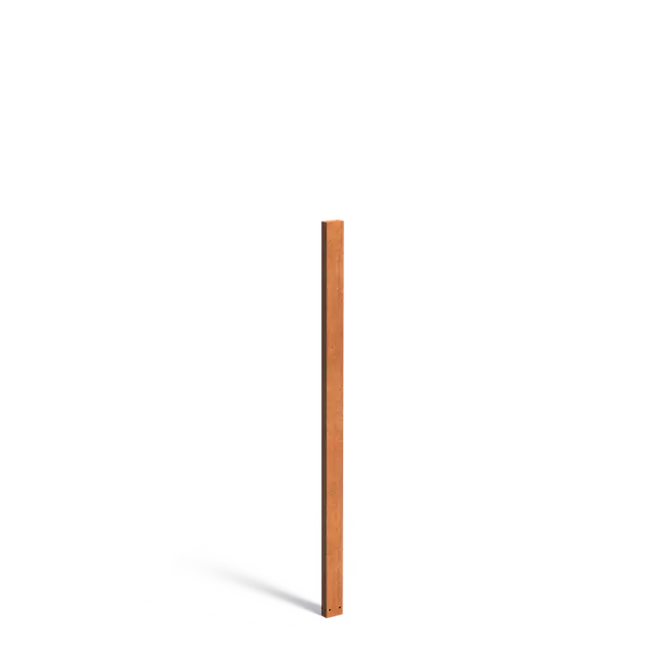 Cortenstaal Tuinpaal 200 cm - 100 x 50 x 2000 mm