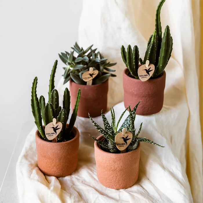 Kolibri Home | Rustic sierpot - Terra - Ø9cm